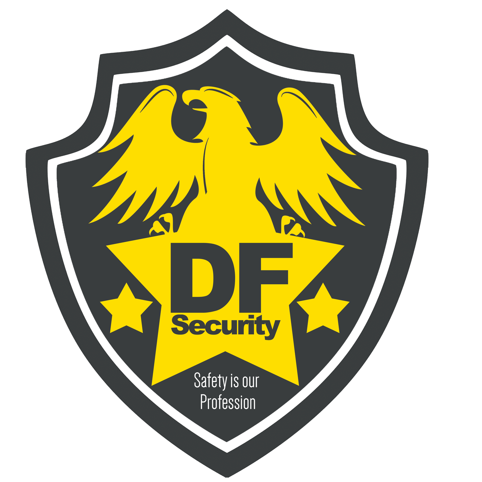 DF Security LLC